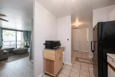 3021 S Michigan Avenue #305, Chicago, IL 60616 - Photo 15