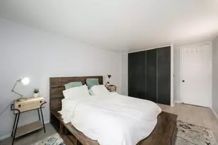 3021 S Michigan Ave, Chicago, IL 60616 - Photo 11