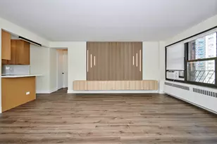 6118 N Sheridan Rd, Chicago, IL 60660 - Photo 3