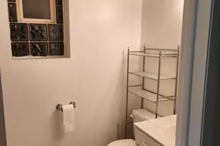 1507 W George St, Chicago, IL 60657 - Photo 37
