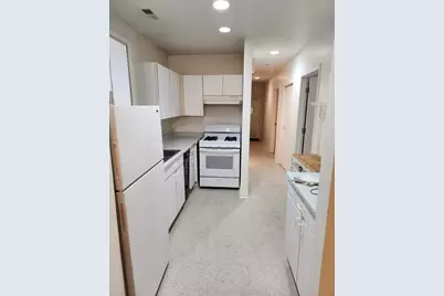 1507 W George Street, Chicago, IL 60657 - Photo 35