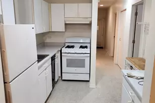 1507 W George St, Chicago, IL 60657 - Photo 35