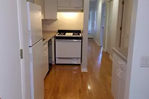 1507 W George St, Chicago, IL 60657 - Photo 25