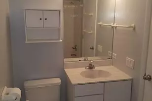 1507 W George St, Chicago, IL 60657 - Photo 27
