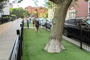 3930 N Pine Grove Ave, Chicago, IL 60613 - Photo 47