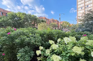 3930 N Pine Grove Ave, Chicago, IL 60613 - Photo 45
