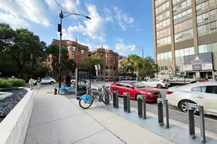 3930 N Pine Grove Ave, Chicago, IL 60613 - Photo 49