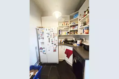 1808 W Armitage Street, Chicago, IL 60647 - Photo 19