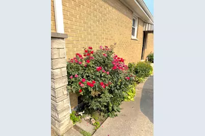 2816 W Seipp Street, Chicago, IL 60652 - Photo 23
