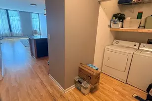 1255 S State St, Chicago, IL 60605 - Photo 11