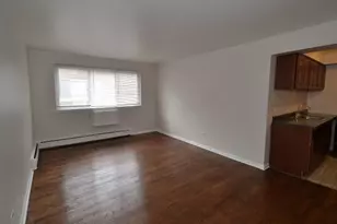 1040 W Hollywood Ave, Chicago, IL 60660 - Photo 5