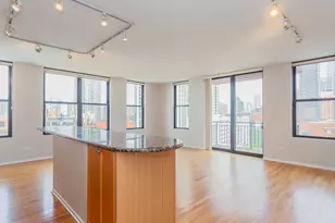 330 N Jefferson St, Chicago, IL 60661 - Photo 3