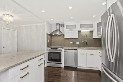 110 E Delaware Place #802, Chicago, IL 60611 - Photo 3