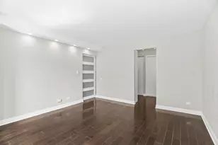 110 E Delaware Pl, Chicago, IL 60611 - Photo 9