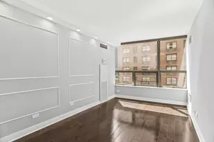 110 E Delaware Pl, Chicago, IL 60611 - Photo 5