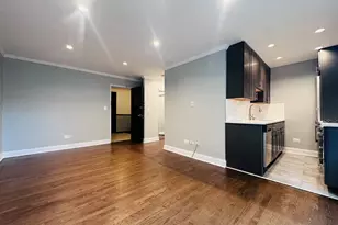 541 W Oakdale Ave, Chicago, IL 60657 - Photo 3