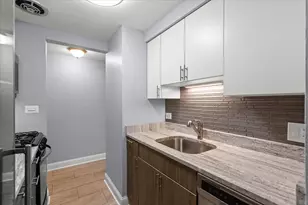 541 W Oakdale Ave, Chicago, IL 60657 - Photo 3
