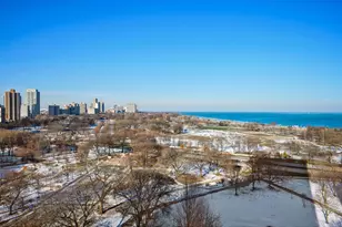 1555 N Dearborn Pkwy, Chicago, IL 60610 - Photo 27