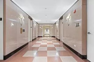 159 E Walton Pl, Chicago, IL 60611 - Photo 21