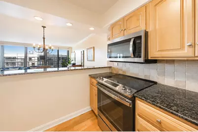 1560 N Sandburg Terrace #2103J, Chicago, IL 60610 - Photo 9