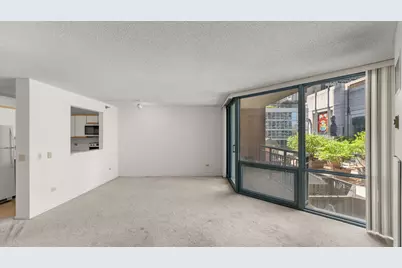 480 N McClurg Court #412, Chicago, IL 60611 - Photo 5