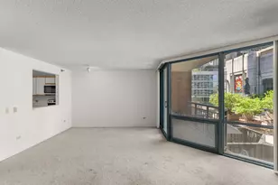 480 N McClurg Ct, Chicago, IL 60611 - Photo 5
