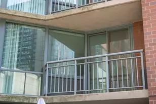 480 N McClurg Ct, Chicago, IL 60611 - Photo 15