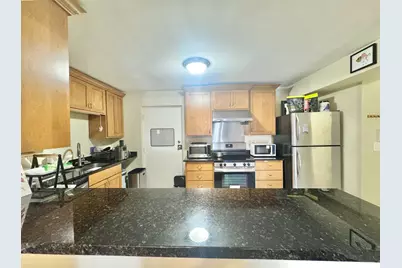 3217 W Bryn Mawr Avenue #201, Chicago, IL 60659 - Photo 7