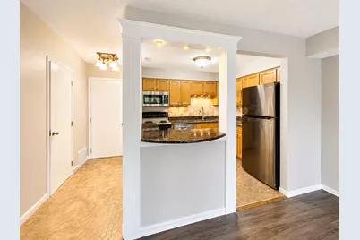 520 Biesterfield Road #209, Elk Grove Village, IL 60007 - Photo 9