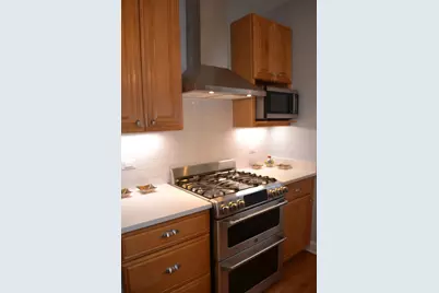 1055 W North Shore Avenue #1W, Chicago, IL 60626 - Photo 27