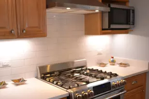 1055 W North Shore Ave, Chicago, IL 60626 - Photo 27