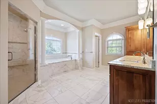 3N734 Herman Melville Ln, Saint Charles, IL 60175 - Photo 31