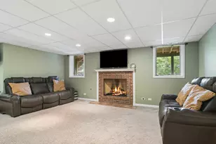 8 Rose Ln, Hawthorn Woods, IL 60047 - Photo 39