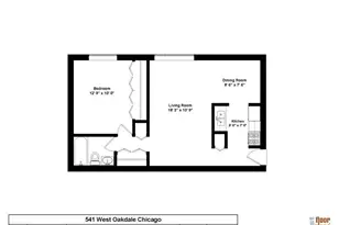 541 W Oakdale Ave, Chicago, IL 60657 - Photo 9