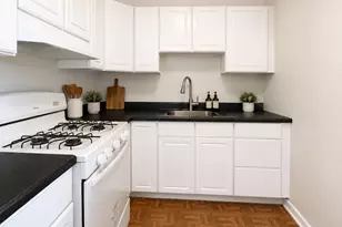 2605 S Indiana Ave, Chicago, IL 60616 - Photo 7