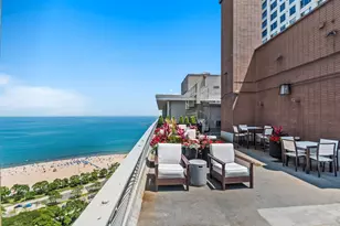 1000 N Lake Shore Dr, Chicago, IL 60611 - Photo 29