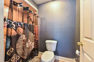 20236 Pepperwood Ct, Frankfort, IL 60423 - Photo 11