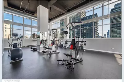 230 W Division Street #706, Chicago, IL 60610 - Photo 19