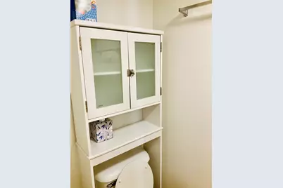 1009 E 61st Street, Chicago, IL 60637 - Photo 11