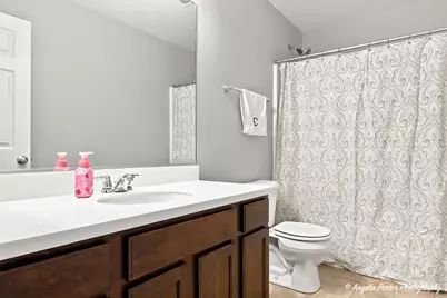 60 S Cornerstone Street, Volo, IL 60020 - Photo 19
