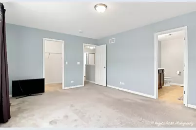 60 S Cornerstone Street, Volo, IL 60020 - Photo 15