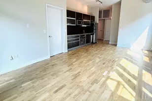 660 W Wayman St, Chicago, IL 60661 - Photo 9