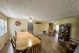 311 S Sycamore St, Keenes, IL 62851 - Photo 15