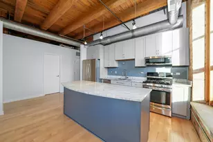 1133 S Wabash Ave, Chicago, IL 60605 - Photo 11
