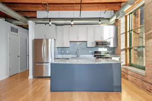 1133 S Wabash Ave, Chicago, IL 60605 - Photo 9