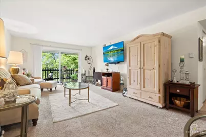 20A Kingery Quarter #201, Willowbrook, IL 60527 - Photo 3
