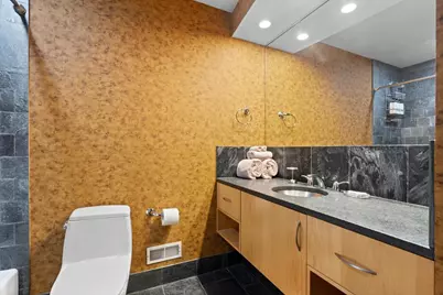 930 W Wolfram Street, Chicago, IL 60657 - Photo 41