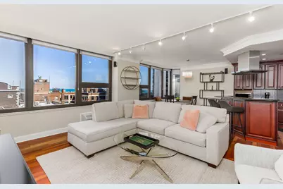221 E Walton Place #14B, Chicago, IL 60611 - Photo 9
