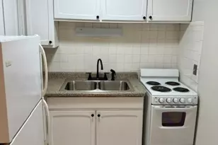 420 W Aldine Ave, Chicago, IL 60657 - Photo 3