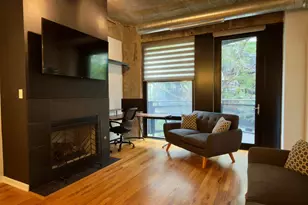 1070 W 15th St, Chicago, IL 60608 - Photo 7